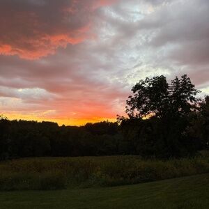 EVERYTHING THAT DID NOT SELL IS GONE